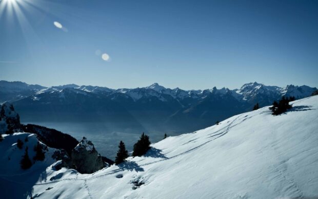 Snowy mountain landscape in Switzerland with clear blue sky and pine trees