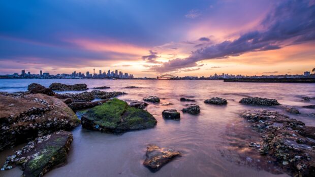 Rocks covered with moss at the shore with the Sydney skyline in the background during sunset