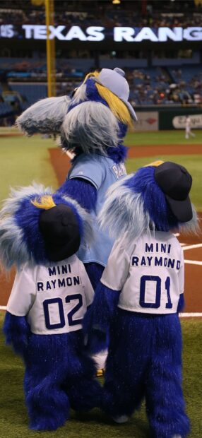 Three Tampa Bay Rays mascots with mini Raymonds on the baseball field