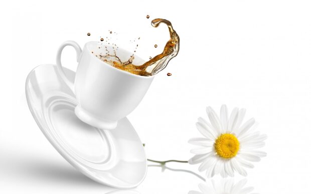 A splash of tea coming out of a white cup with a daisy flower in the background