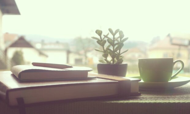 A cozy desktop with tea cup plant and journals on a wooden table with a scenic view