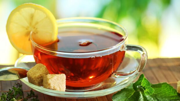 A cup of tea with a lemon slice and sugar cubes on a wooden surface surrounded by fresh herbs