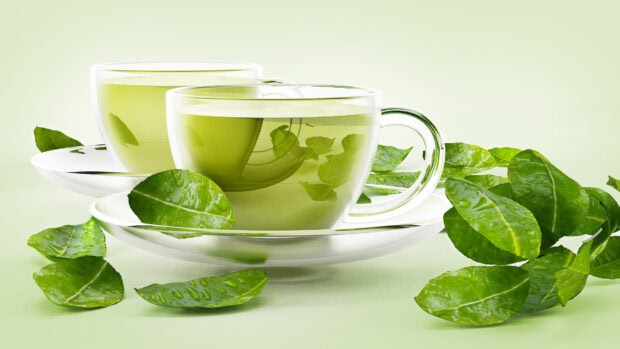 Two glass cups filled with green tea leaves on white saucers surrounded by fresh tea leaves