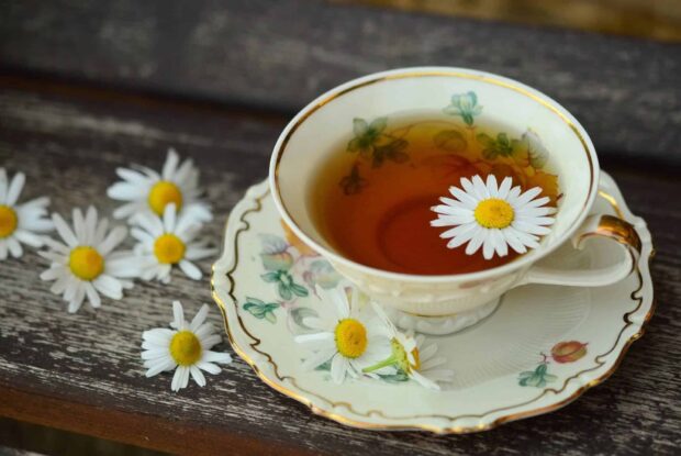 A cup of chamomile tea with flowers floating inside and around on a wooden table