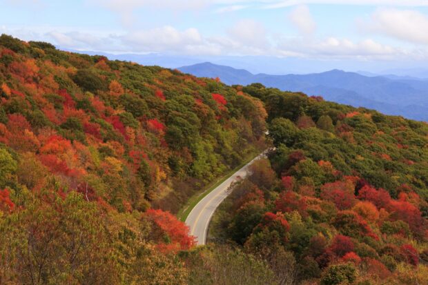 Winding road through colorful Tennessee autumn foliage and mountain landscape
