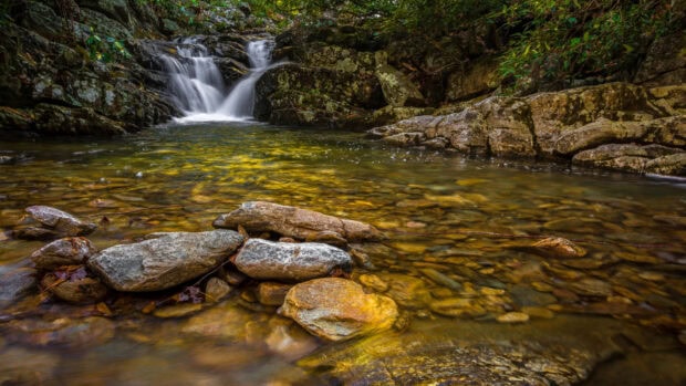 Clear stream flowing over rocks in Tennessee forest with yellow reflections