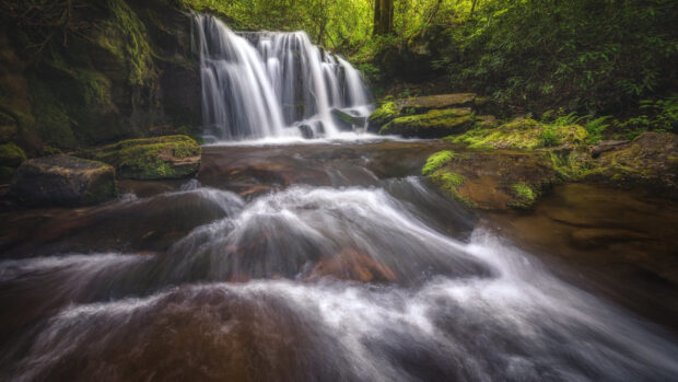 Flowing stream surrounded by rocks and moss in a Tennessee forest