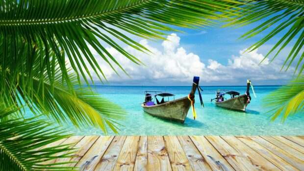 Traditional longtail boats on turquoise sea with tropical palms in Thailand