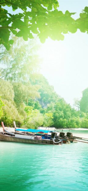 Traditional long tail boat resting on turquoise water near lush green trees in Thailand