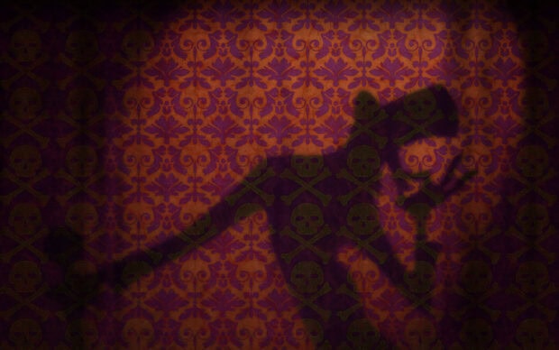 The shadow of a character holding a staff appears on a patterned wall with skull designs