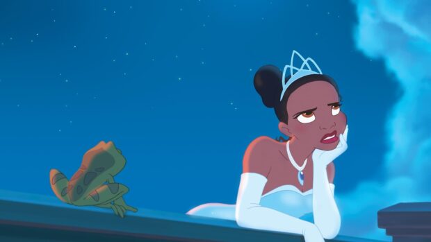 The princess wearing a white dress and tiara with a frog on the railing under the night sky