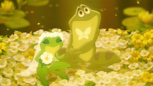 The frog couple sitting in a field of flowers holding hands and a flower