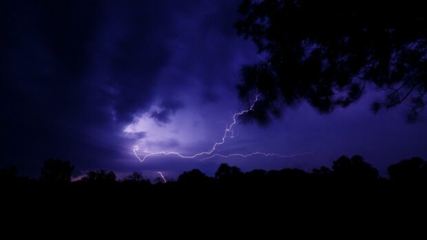 Lightning strikes illuminate a thunder storm sky above dark silhouetted trees