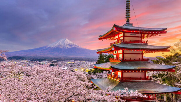 Traditional pagoda surrounded by cherry blossoms in Tokyo Japan during sunset