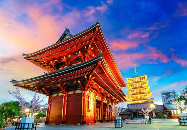 Traditional temple and pagoda in Tokyo Japan at sunset with cherry blossoms