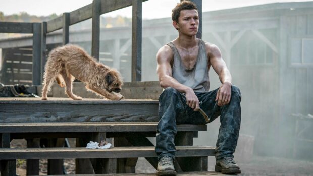 Tom Holland sitting on wooden steps with a dog sniffing nearby in an outdoor setting