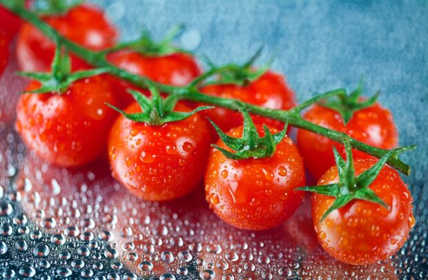 Fresh tomatoes covered with water droplets on a blue surface