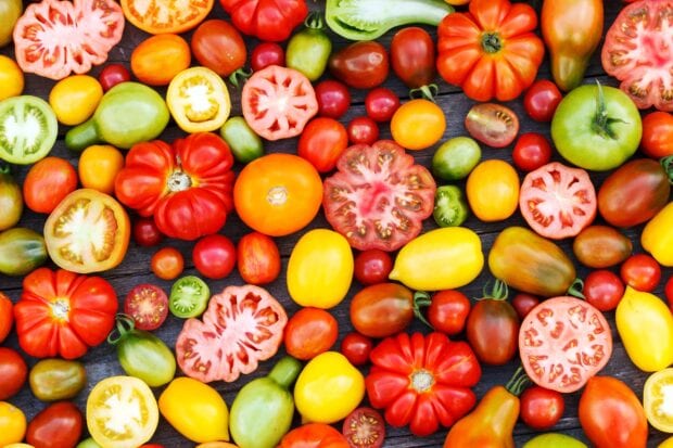 Various colorful heirloom tomato varieties spread on a wooden surface showing their unique shapes and colors