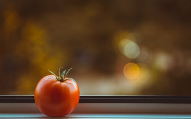 A fresh tomato resting on a windowsill with a blurred warm background