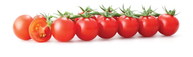 A row of fresh red tomato green stems with one sliced showing inside texture