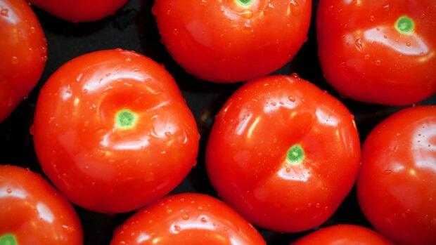 Fresh red tomato close up with water droplets on a black surface