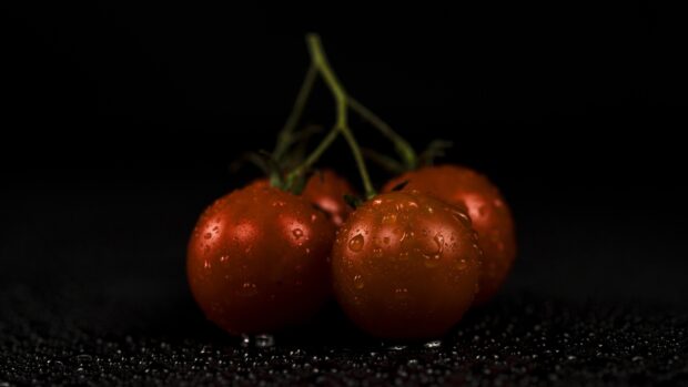 Fresh tomatoes covered with water droplets on a dark surface showing tomato details
