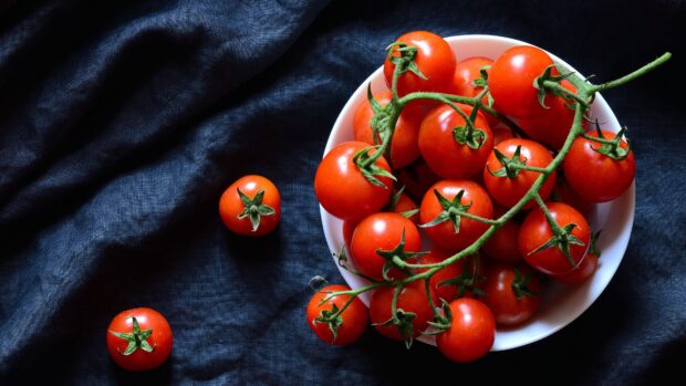 Fresh tomato cluster on a white plate with dark fabric background showing tomato quality
