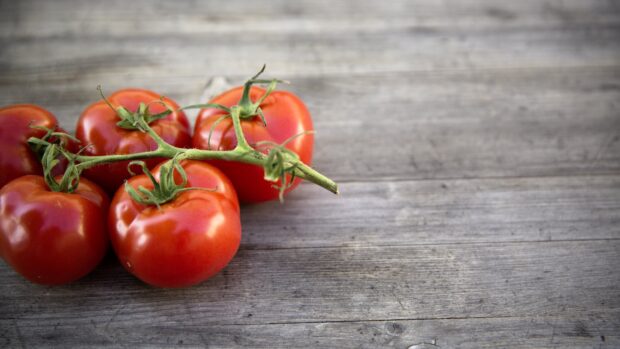 Fresh tomato cluster on a wooden surface with green stems