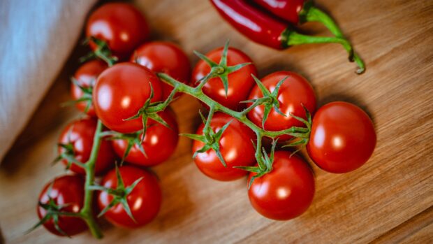 A close up view of fresh tomato on the vine with red chili peppers on a wooden surface