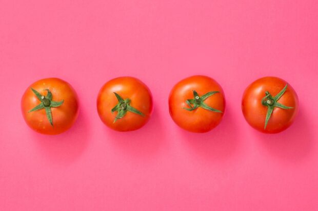 Four fresh tomato fruits with green stems on a pink surface arranged in a row