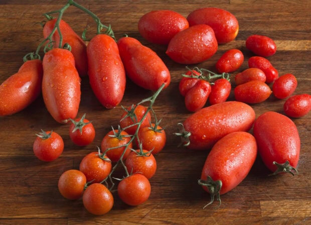 Fresh ripe tomato variety with water droplets on wooden surface