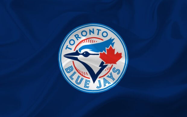 The Toronto Blue Jays logo on a blue fabric representing the baseball team emblem