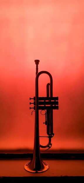 A trumpet instrument stands silhouetted against a vibrant orange background