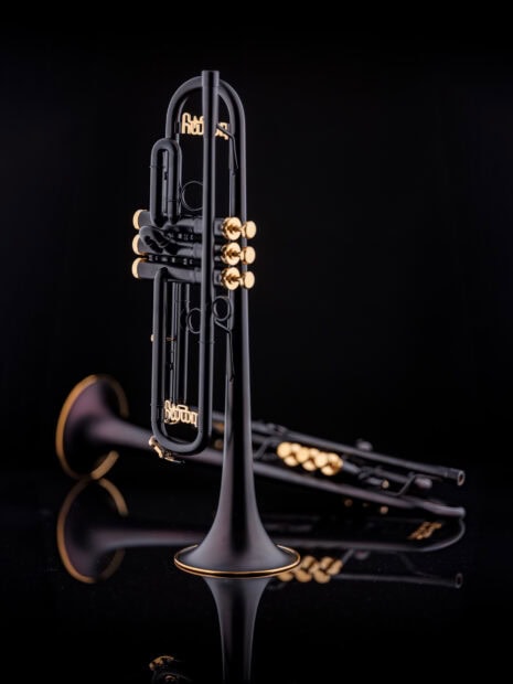 Elegant black trumpet with golden details standing on reflective surface