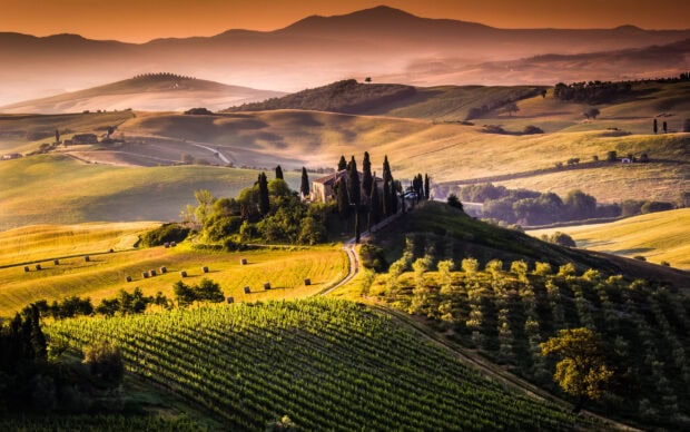 Rolling hills of Tuscany lined with lush vineyards and cypress trees at sunrise