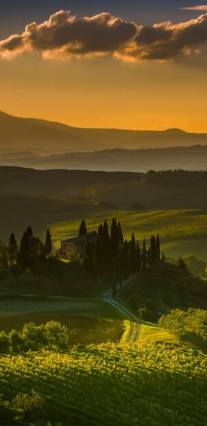 A beautiful Tuscany landscape with rolling hills and cypress trees at golden hour