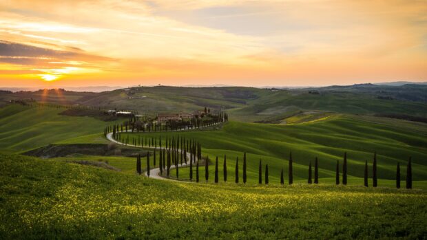 A winding cypress tree lined road through the lush Tuscany countryside at sunset