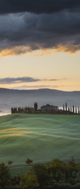 Misty Tuscan hills with cypress trees and a farmhouse during sunrise in Tuscany