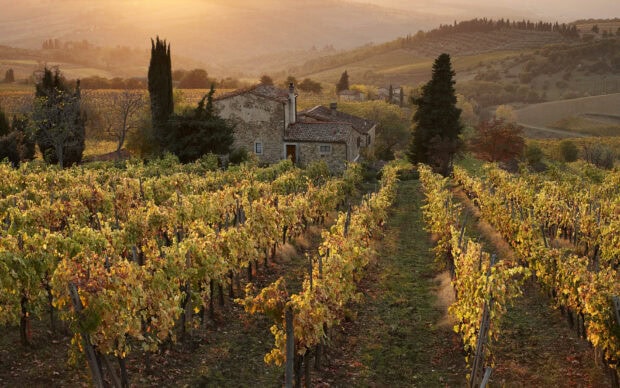 Rustic stone house in Tuscany vineyard during autumn with colorful leaves and rolling hills