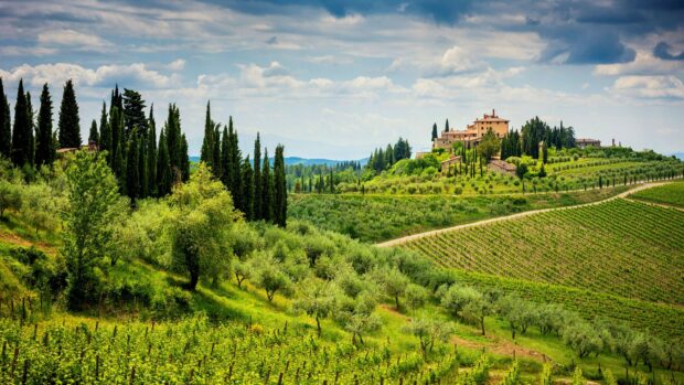 Scenic Tuscany landscape with rolling hills and cypress trees in lush greenery