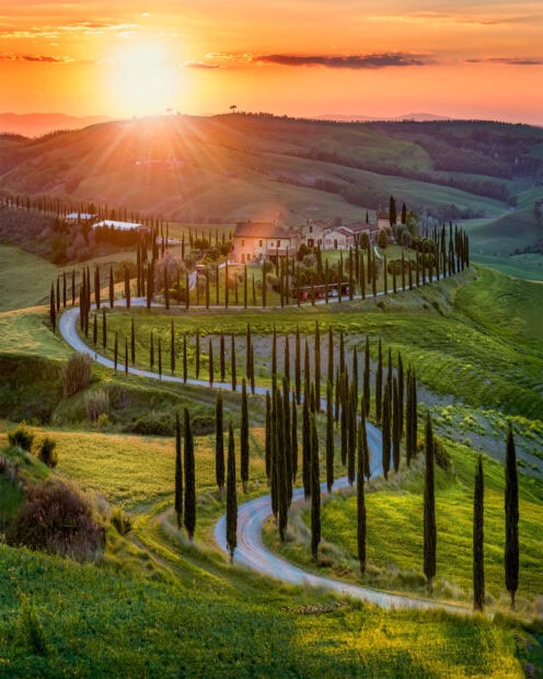 Winding road surrounded by cypress trees in the Tuscany countryside