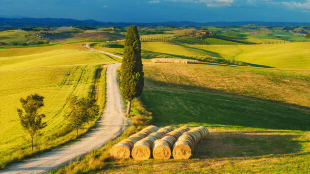 A winding road with cypress trees and hay bales in Tuscany countryside