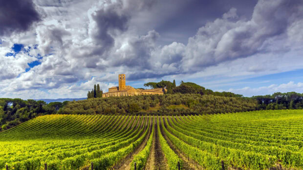 Ancient Tuscan landscape with vineyard rows leading to historic buildings under dramatic clouds