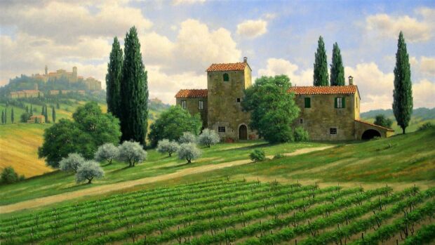 A peaceful Tuscany landscape with vineyard and old stone house in the countryside