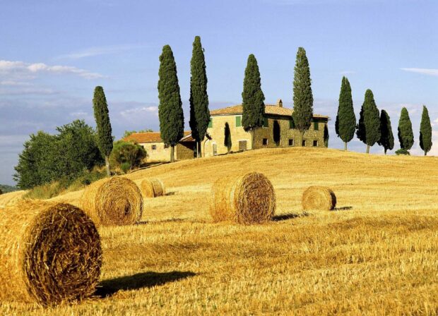 Golden hay bales in a sunny Tuscany field with tall cypress trees and rustic houses