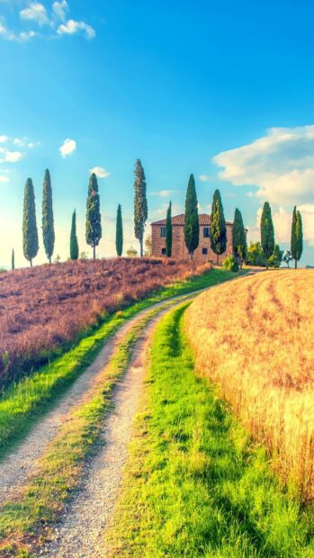 A scenic Tuscany landscape with a winding dirt road and tall cypress trees near a rustic stone house