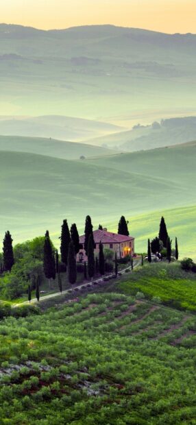 A peaceful Tuscany countryside villa surrounded by cypress trees and green rolling hills at sunrise
