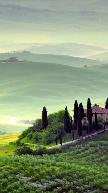 Rolling hills and cypress trees create a peaceful Tuscany landscape