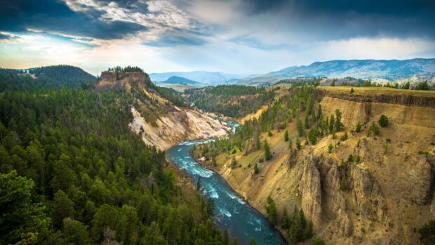 A winding river flowing through a forested canyon in Usa landscape