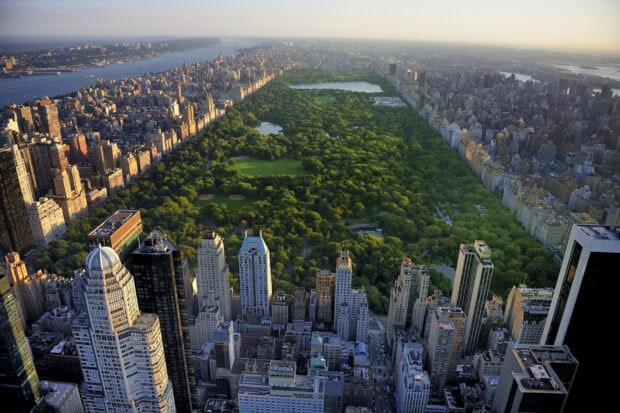 Aerial view of Central Park with surrounding cityscape in usa